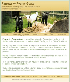 Farrowsky Pygmy Goats